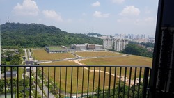 Eco Sanctuary (D23), Condominium #177553012